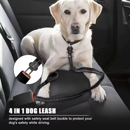 SeanCo™ Bungee Dog Leash