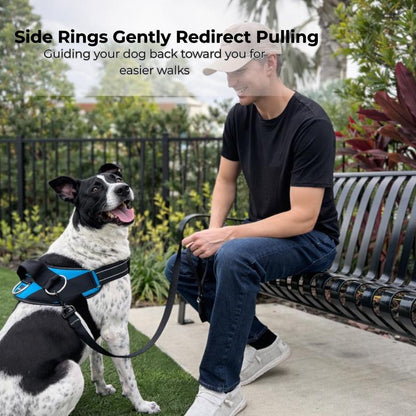 SeanCo™ No Pull Harness