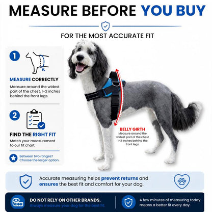 SeanCo™ No Pull Harness